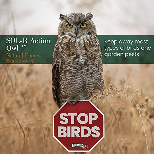 Dalen Fake Owl Decoy to Scare Birds Away from Gardens, Rooftops, and Patios - Scarecrow Provides Chemical-Free Pest Control - Safe and Humane, 18" 360º Rotating Head