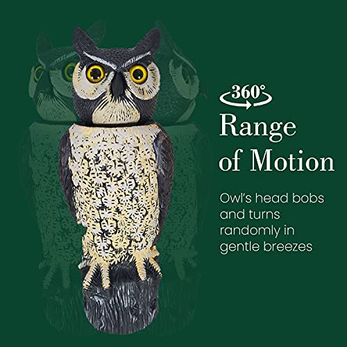 Dalen Fake Owl Decoy to Scare Birds Away from Gardens, Rooftops, and Patios - Scarecrow Provides Chemical-Free Pest Control - Safe and Humane, 18" 360º Rotating Head