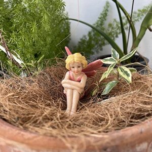 JIUMO Miniature Garden Fairies for Fairy Garden Fairy Figurines Accessories Outdoor Little Garden Fairies Mini Fairies Set for Kids Garden Miniature Boy Fairies Sitting Fairies