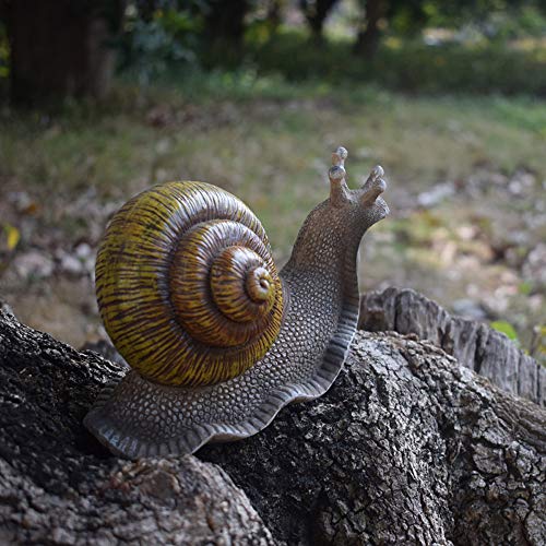 Snail Resin Animal Garden Statue Outdoor and Garden Decor Patio Yard (Snail 7 inch)