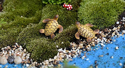 SunRise 6pcs Resin Cute Beach Sea Turtle Miniature Figurine Status Micro Landscape Decorations Fairy Gardens Dollhouse DIY Ornaments Decor