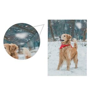 LifeCustomize Welcome Seasonal Garden Flags Winter Golden Retriever Double Sided Holiday House Yard Flag Home Decorative Outdoor Flags 12 x 18 Inch