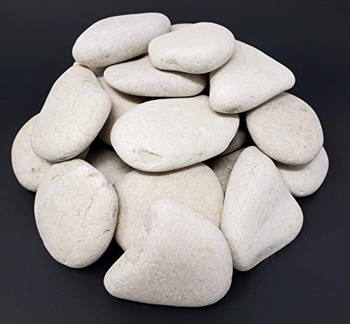 Garden Rocks (White) - Landscaping Rocks For Garden And Landscape Design - 5 Pounds (About 25 Rocks)