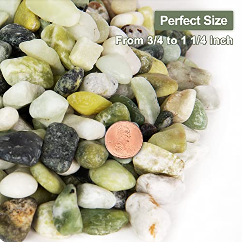 Future Way 10lbs Jade Rocks for Plants, Decorative Pebbles for Bamboo, Fish Tank, Aquarium, Terrarium, Landscaping, Vases, 3/4 to 1 1/4 Inch, Matte Texture and Smooth Edge
