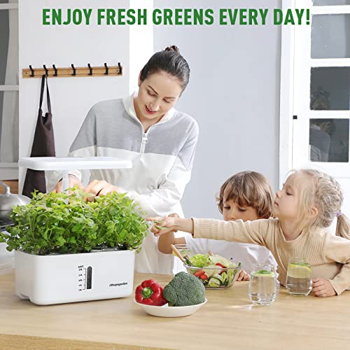 Indoor Garden Hydroponic Growing System: Ahopegarden Plant Germination Kit Aeroponic Herb Vegetable Growth Lamp Countertop with LED Grow Light - Hydrophonic Planter Grower Harvest Veggie Lettuce