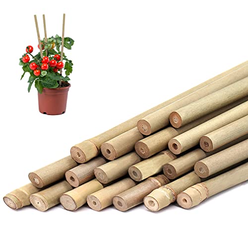 Plant Stakes,Stroller 20PCS Natural Bamboo Garden Plant Sticks for Indoor and Outdoor Plants,18 Inches Plant Support Stakes for Tomatoes,Flowers,Potted Plants