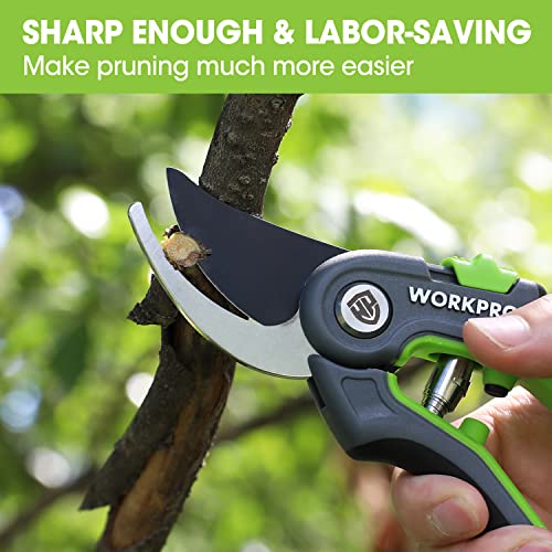 WORKPRO Bypass Pruning Shears, 8’’ Stainless Steel Gardening Hand Pruner, Professional Garden Trimming Scissors with Sharp SK5 Steel Blades, Ideal Garden Tool,Green