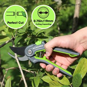 WORKPRO Bypass Pruning Shears, 8’’ Stainless Steel Gardening Hand Pruner, Professional Garden Trimming Scissors with Sharp SK5 Steel Blades, Ideal Garden Tool,Green