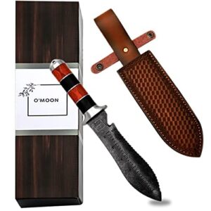professional garden knife / with thicker leather sheath, stainless steel blade, for weeding, digging, pruning and cultivating / with beautiful packaging, black (cy98)