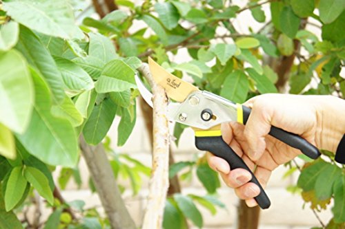 Q-yard QY-731L Traditional Bypass Pruning 8.5" Titanium Blade- Handheld Gardening Tools Shears