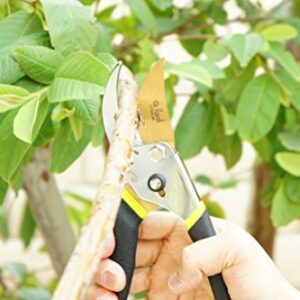 Q-yard QY-731L Traditional Bypass Pruning 8.5" Titanium Blade- Handheld Gardening Tools Shears