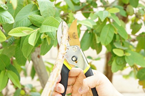 Q-yard QY-731L Traditional Bypass Pruning 8.5" Titanium Blade- Handheld Gardening Tools Shears