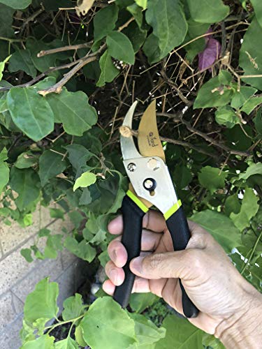 Q-yard QY-731L Traditional Bypass Pruning 8.5" Titanium Blade- Handheld Gardening Tools Shears