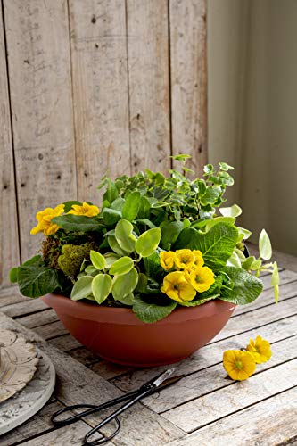 The HC Companies 12 Inch Garden Bowl Planter - Shallow Plant Pot with Drainage Plug for Indoor Outdoor Flowers, Herbs, Warm Gray