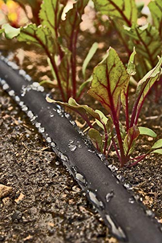 Rocky Mountain Goods Flat Soaker Hose - Heavy Duty Double Layer Design - Saves 90% Water - Consistent Drip Throughout Hose - Leakproof Guarantee - Garden/Vegetable Safe (25FT)