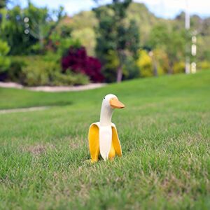 Lhocm Garden Decor Statues Figurines Ornaments, Creative Resin Banana Duck Garden Gnomes, Personalized Duck Statues for Home, Patio, Lawn, Yard, Office, Outdoor Decorations, Housewarming Garden Gifts