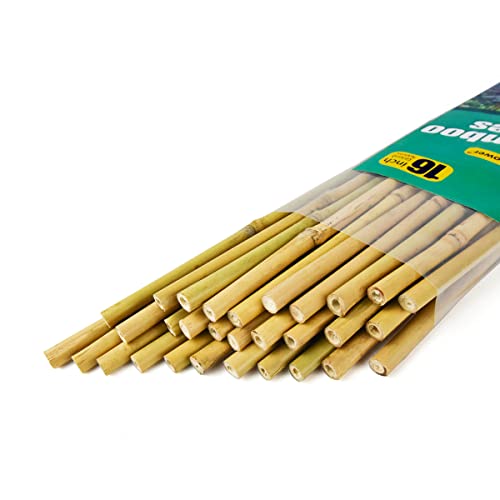 Jollybower 16 in Bamboo Stakes, Plant Stakes, Natural Garden Stakes for Tomato, Bean, Flowers,Trees Potted and Climbing Plant Support-Pack of 30 Bamboo Stick, Diameter of 1/4”