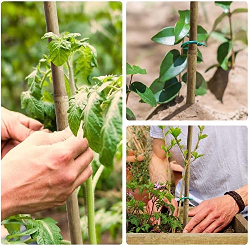 Jollybower 16 in Bamboo Stakes, Plant Stakes, Natural Garden Stakes for Tomato, Bean, Flowers,Trees Potted and Climbing Plant Support-Pack of 30 Bamboo Stick, Diameter of 1/4”