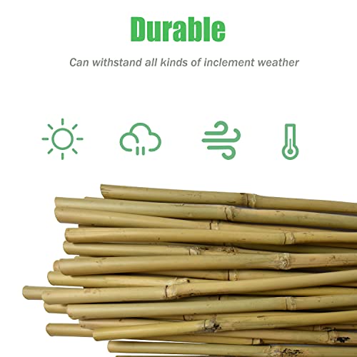 Jollybower 16 in Bamboo Stakes, Plant Stakes, Natural Garden Stakes for Tomato, Bean, Flowers,Trees Potted and Climbing Plant Support-Pack of 30 Bamboo Stick, Diameter of 1/4”