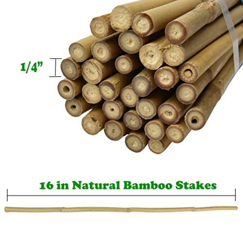 Jollybower 16 in Bamboo Stakes, Plant Stakes, Natural Garden Stakes for Tomato, Bean, Flowers,Trees Potted and Climbing Plant Support-Pack of 30 Bamboo Stick, Diameter of 1/4”