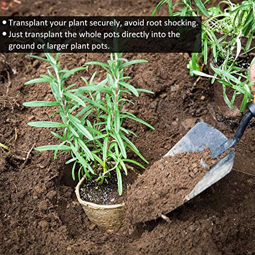 GROWNEER 60 Packs 3 Inch Peat Pots Plant Starters for Seedling with 15 Pcs Plant Labels, Biodegradable Herb Seed Starter Pots Kits, Garden Germination Nursery Pot