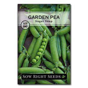 sow right seeds – sugar snap pea seed for planting – non-gmo heirloom packet with instructions to plant a home vegetable garden