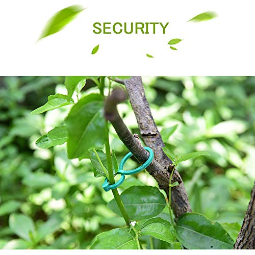 Plant Twist Clip Ties Garden Plant Support Clips Vegetables Tomato Vine Flower Clips Plant Locks for Securing Plants（100 Pcs ）