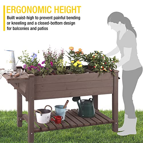 Aivituvin Raised Garden Bed, Elevated Plant Boxes Outdoor Large with Grow Grid - with Large Storage Shelf 52.7" x 22" x 30"