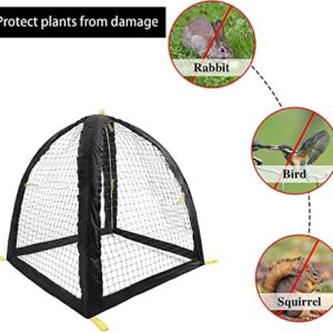 Large Pest Guard Cover-35 x35 x 39 Inch Pest Guard Tent with Stakes-Garden Plants Cloche Tent for Protect Plants Vegetables Fruits Shrubs from Squirrel Bird Eating (L)