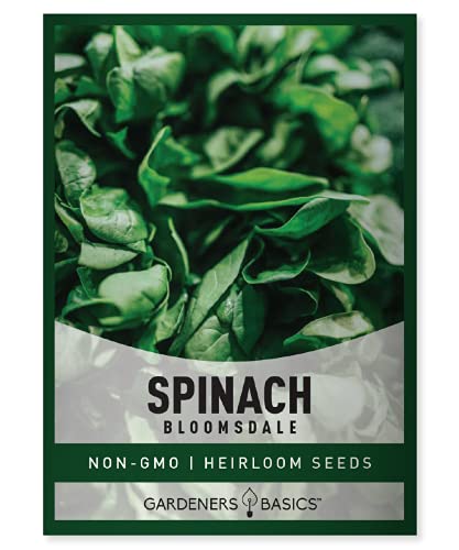 Bloomsdale Spinach Seeds for Planting is A Great Heirloom, Non-GMO Vegetable Variety- Great for Indoor, Outdoor and Hydroponics Gardening by Gardeners Basics