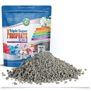 Triple Super Phosphate 0-46-0 Fertilizer Made in USA - Bloom Booster - TSP Pure Phosphorus Plant Food for Indoor/Outdoor Plants and Organic Gardens - Fruit, Vegetables, Holistic Herbs, Trees & More!