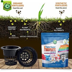 Triple Super Phosphate 0-46-0 Fertilizer Made in USA - Bloom Booster - TSP Pure Phosphorus Plant Food for Indoor/Outdoor Plants and Organic Gardens - Fruit, Vegetables, Holistic Herbs, Trees & More!