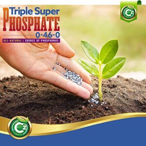 Triple Super Phosphate 0-46-0 Fertilizer Made in USA - Bloom Booster - TSP Pure Phosphorus Plant Food for Indoor/Outdoor Plants and Organic Gardens - Fruit, Vegetables, Holistic Herbs, Trees & More!