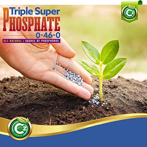 Triple Super Phosphate 0-46-0 Fertilizer Made in USA - Bloom Booster - TSP Pure Phosphorus Plant Food for Indoor/Outdoor Plants and Organic Gardens - Fruit, Vegetables, Holistic Herbs, Trees & More!