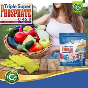 Triple Super Phosphate 0-46-0 Fertilizer Made in USA - Bloom Booster - TSP Pure Phosphorus Plant Food for Indoor/Outdoor Plants and Organic Gardens - Fruit, Vegetables, Holistic Herbs, Trees & More!