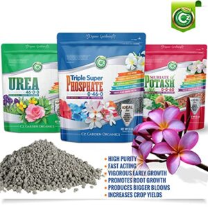 Triple Super Phosphate 0-46-0 Fertilizer Made in USA - Bloom Booster - TSP Pure Phosphorus Plant Food for Indoor/Outdoor Plants and Organic Gardens - Fruit, Vegetables, Holistic Herbs, Trees & More!