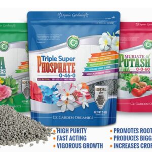 Triple Super Phosphate 0-46-0 Fertilizer Made in USA - Bloom Booster - TSP Pure Phosphorus Plant Food for Indoor/Outdoor Plants and Organic Gardens - Fruit, Vegetables, Holistic Herbs, Trees & More!