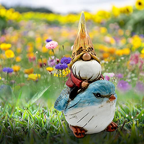 Garden Gnomes Outdoor Decorations - 7.25 inches Tall - Gnome Statues for Yard, Lawn, Patio, Porch Decor - Hand Painted, Weatherproof Gnome Figurine (Blue Bird Rider Gnome) HAZEL & BIRCH