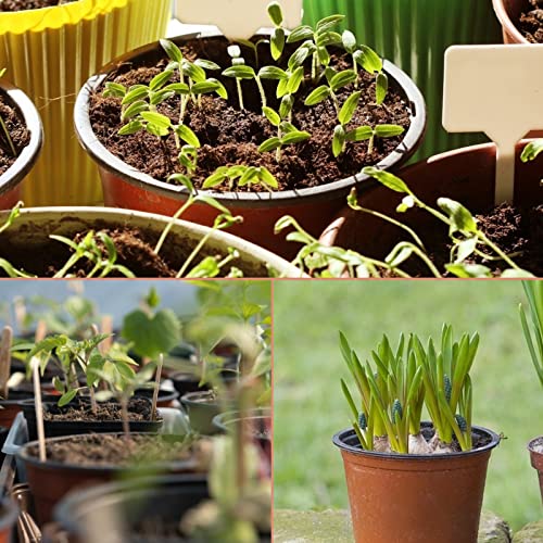 KINGLAKE 100 Pcs 4" Plastic Plants Nursery Pot/Pots Seedlings Flower Plant Container Seed Starting Pots