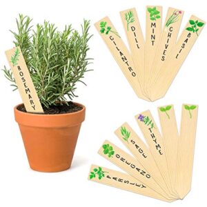 huray rayho wooden plant labels sign planted assorted 12-pack kitchen herbs! outdoor indoor garden stakes garden gifts garden markers re-usable plant tags