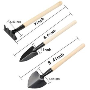 calary Mini Garden Tool Set 3 Pcs Hand Planting Tools Small Shovel/Rake/Spade Succulent Soil Tools for Gardening Life