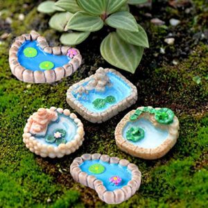 Trasfit 5 Pieces Fairy Garden Miniature Pond Ornaments Kit for Miniature Garden Accessories, Home Micro Landscape Decoration