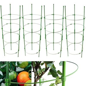 adjustable tomato cage plant support cages 36 inches garden cucumber trellis，plant stake with 4 adjustable ring, support rings for vegetables，flowers，fruit，rose vine climbing plants （4 pack ）