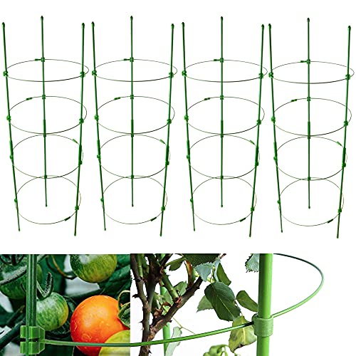 Adjustable Tomato Cage Plant Support Cages 36 inches Garden Cucumber Trellis，Plant Stake with 4 Adjustable Ring, Support Rings for Vegetables，Flowers，Fruit，Rose Vine Climbing Plants （4 Pack ）