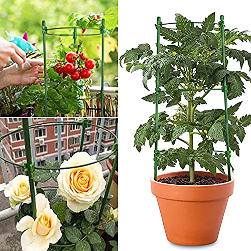 Adjustable Tomato Cage Plant Support Cages 36 inches Garden Cucumber Trellis，Plant Stake with 4 Adjustable Ring, Support Rings for Vegetables，Flowers，Fruit，Rose Vine Climbing Plants （4 Pack ）