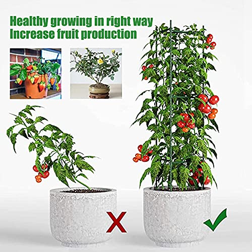 Adjustable Tomato Cage Plant Support Cages 36 inches Garden Cucumber Trellis，Plant Stake with 4 Adjustable Ring, Support Rings for Vegetables，Flowers，Fruit，Rose Vine Climbing Plants （4 Pack ）