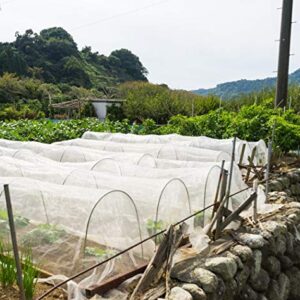 Garden Netting Pest Barrier: 4'x10'(2 Pack) Fine Bug Netting for Garden Protection Row Cover Raised Bed Screen Mesh Greenhouse Mosquito Net, Protecting Tree Plants Vegetable Flowers Fruits