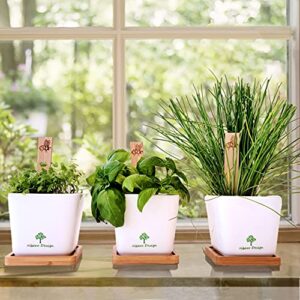 Indoor Herb Garden Kit Complete Kitchen Windowsill Herb Garden - Ceramic Pots, Wondersoil, Bamboo Saucers and Markers - Indoor Organic Herb Gardening Gifts DIY Kits for Women and Men