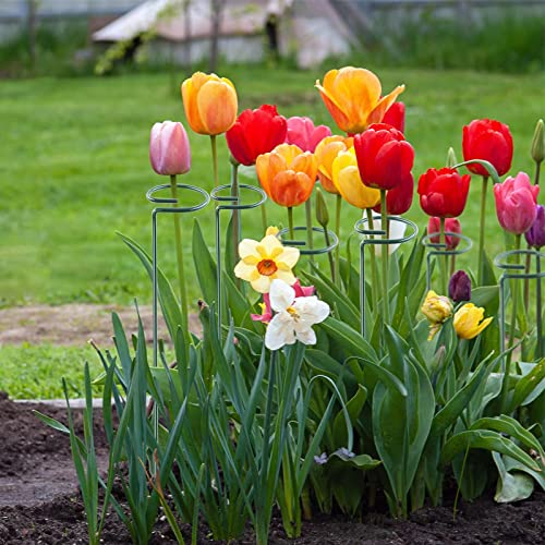 Thealyn 12 Pack 18 Inch Plant Support Stakes, Metal Single stemmed Flower Support Hoops，Garden Plant Stakes Plant Prop for Amaryllis Orchid Lily Rose Peony Tomatoes Gladiolus