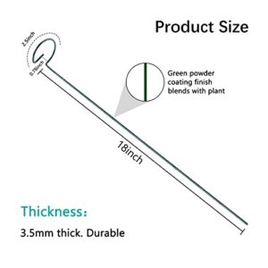 Thealyn 12 Pack 18 Inch Plant Support Stakes, Metal Single stemmed Flower Support Hoops，Garden Plant Stakes Plant Prop for Amaryllis Orchid Lily Rose Peony Tomatoes Gladiolus